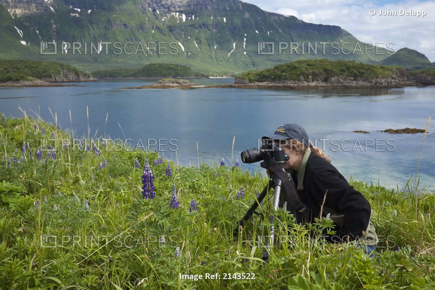 Woman Photographs Flowers Using A Tripod On An Island In Amalik Bay With Katmai ...