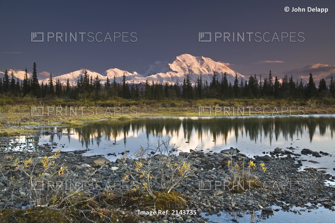 The Alaska Range And Denali's North Face Are Reflected In Small Tundra Pond In ...