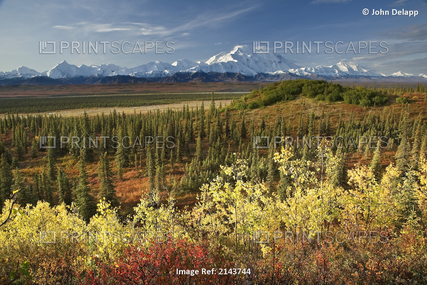 Scenic View Of Mt. Mckinley And The Alaska Range With Taiga And Fall Colors In ...