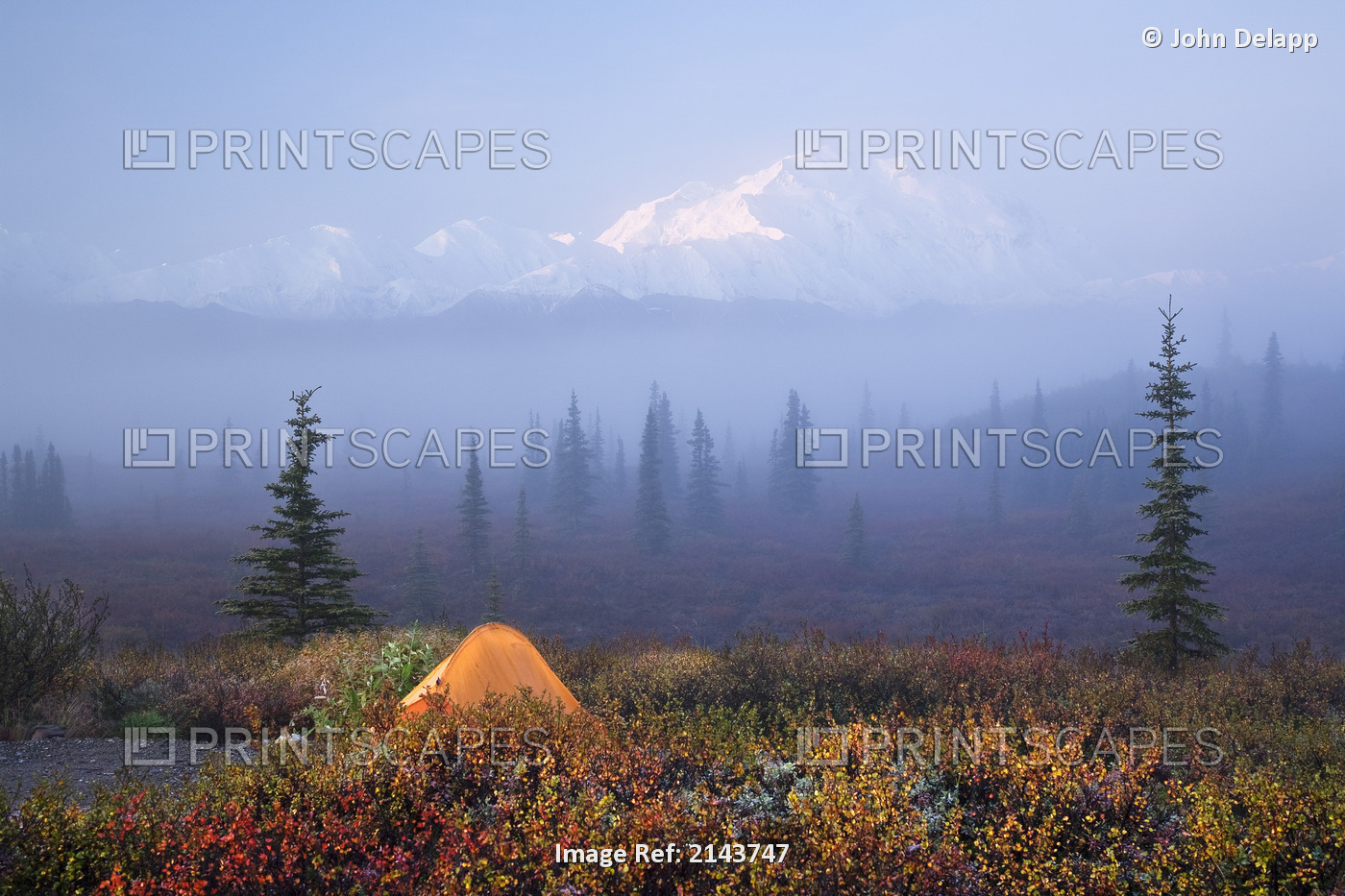 Scenic View Of Wonder Lake Campground With A Tent In The Foreground And Denail ...