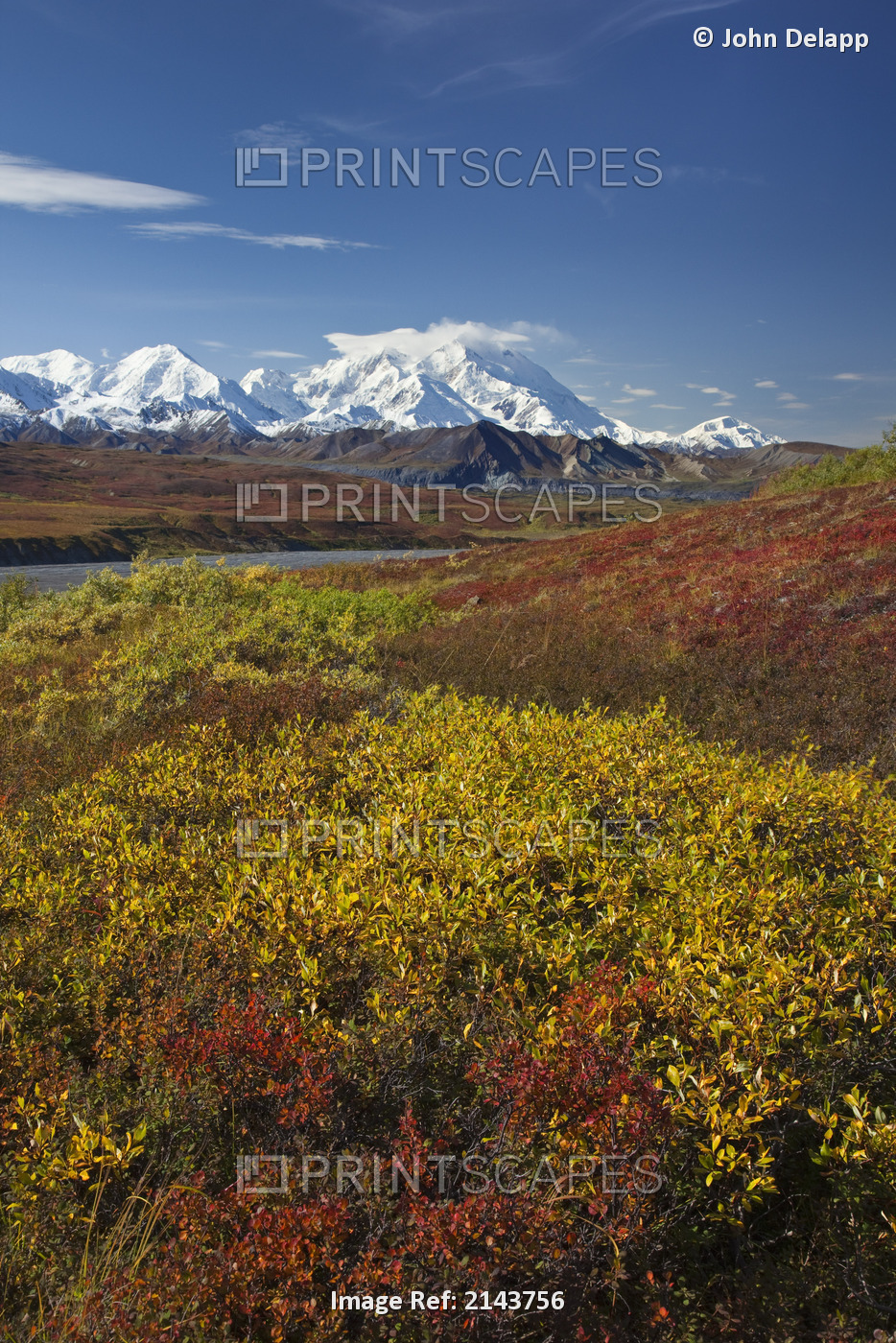 Scenic View Of Mt.Mckinley From Thorofare Pass With Colorful Autumn Tundra In ...
