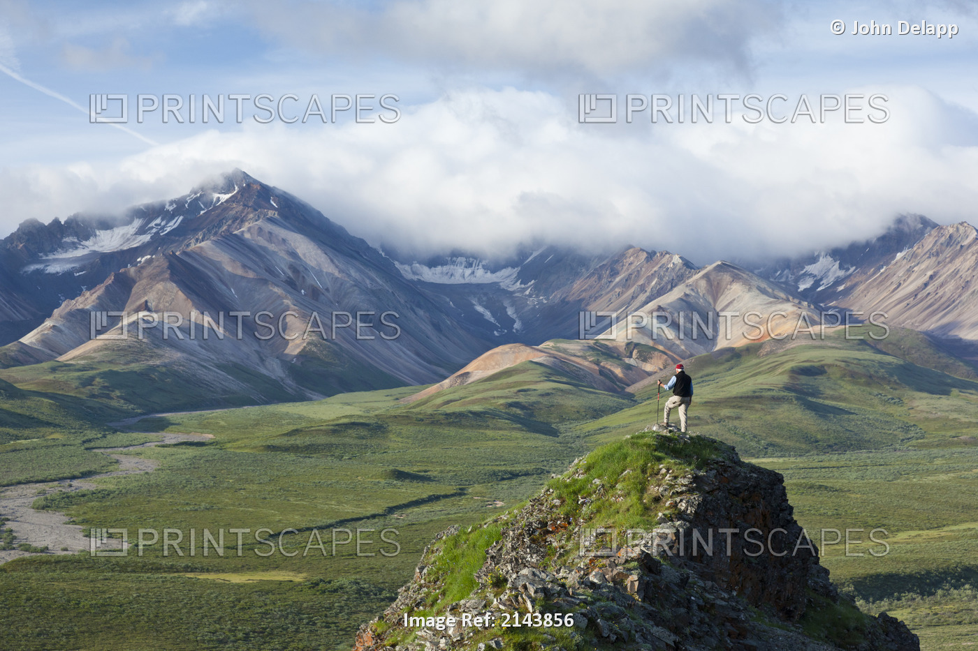 Senior Man Stands On A Rock Outcrop At Polychrome Pass With Alaska Range In The ...