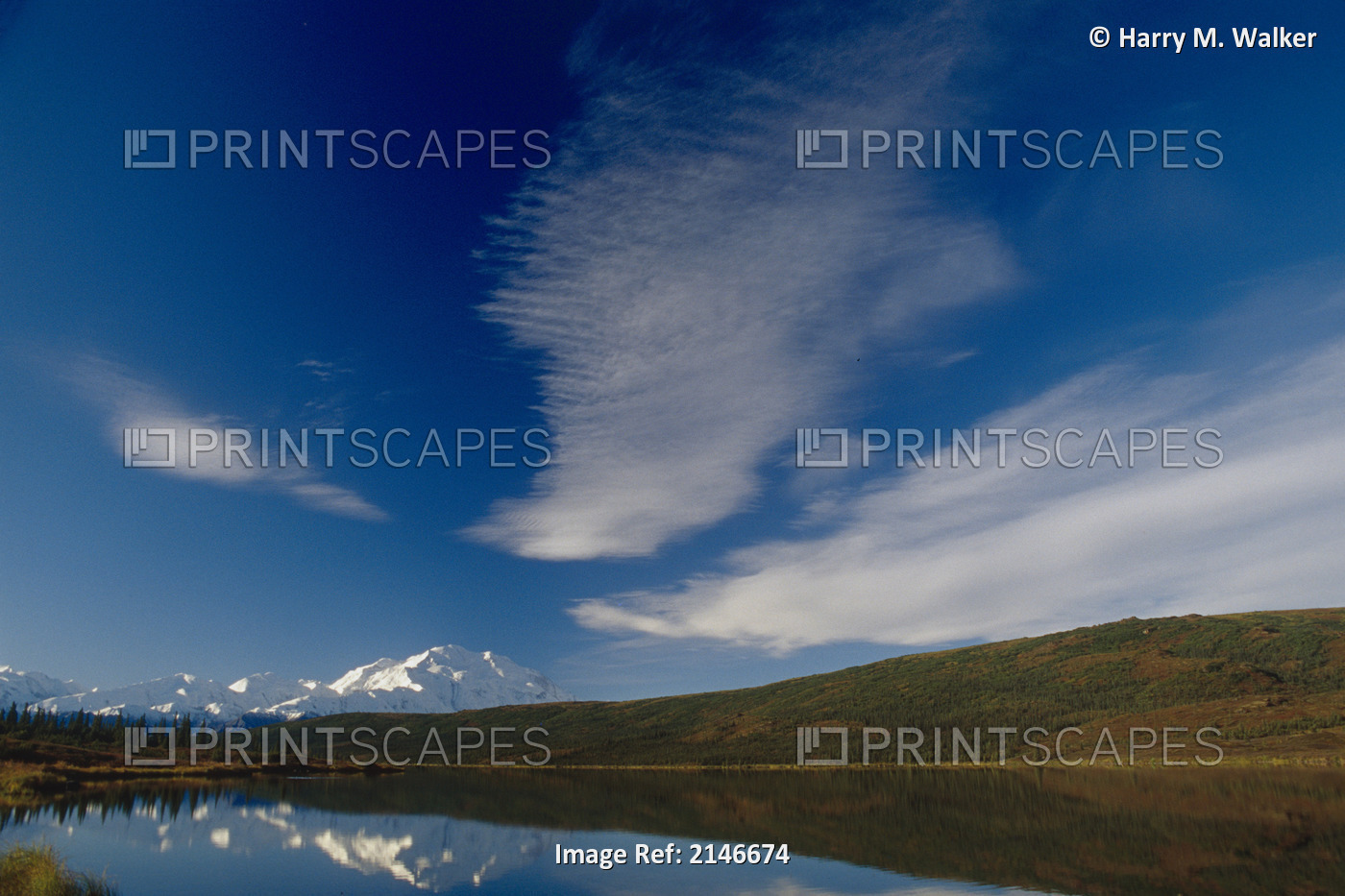 Cirrus Clouds Over Mt Mckinley @ Wonder Lake Ak In Denali Np Summer