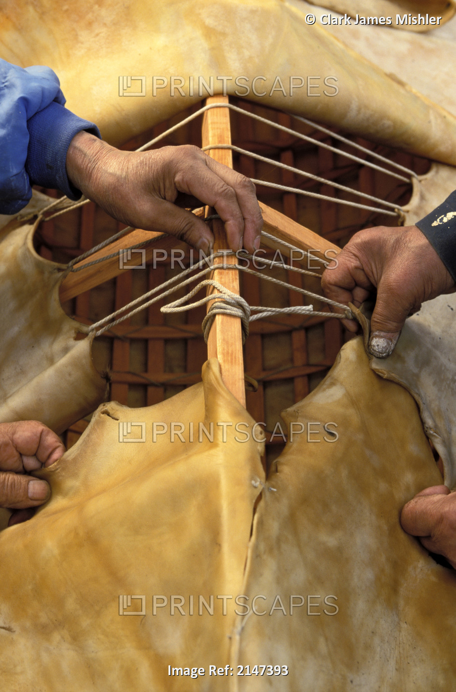 Close Up Of Yup'ik Native Alaskans Demonstrating Sewing Skin For A Traditional ...