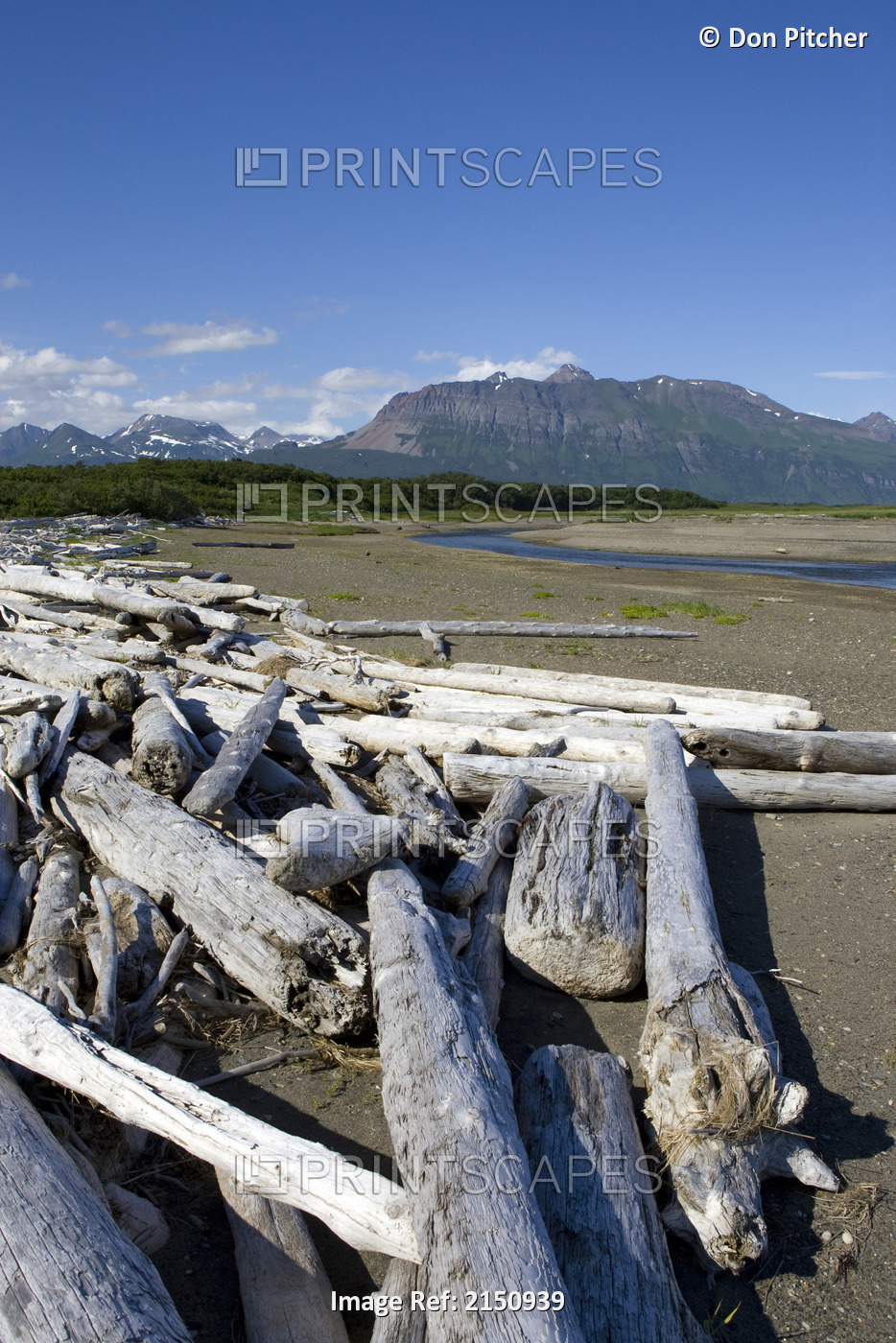 Driftwood Piled Along Coast With Yak Peak In The Background In The Kaguyak Area ...
