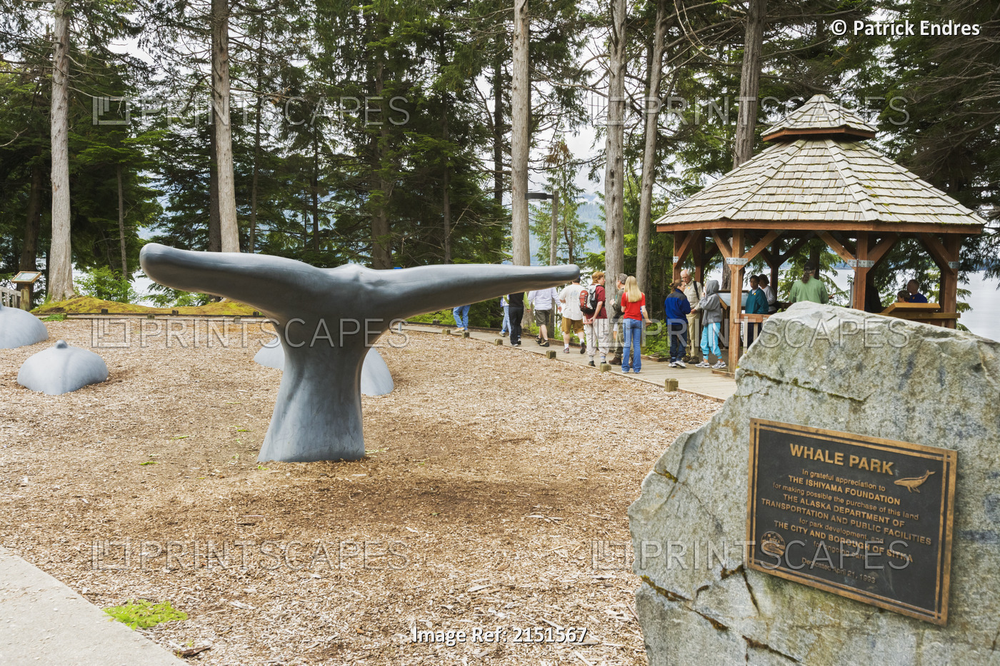 Visitors On Walking Tour At Whale Park Sitka Alaska Baranof Island Se Summer