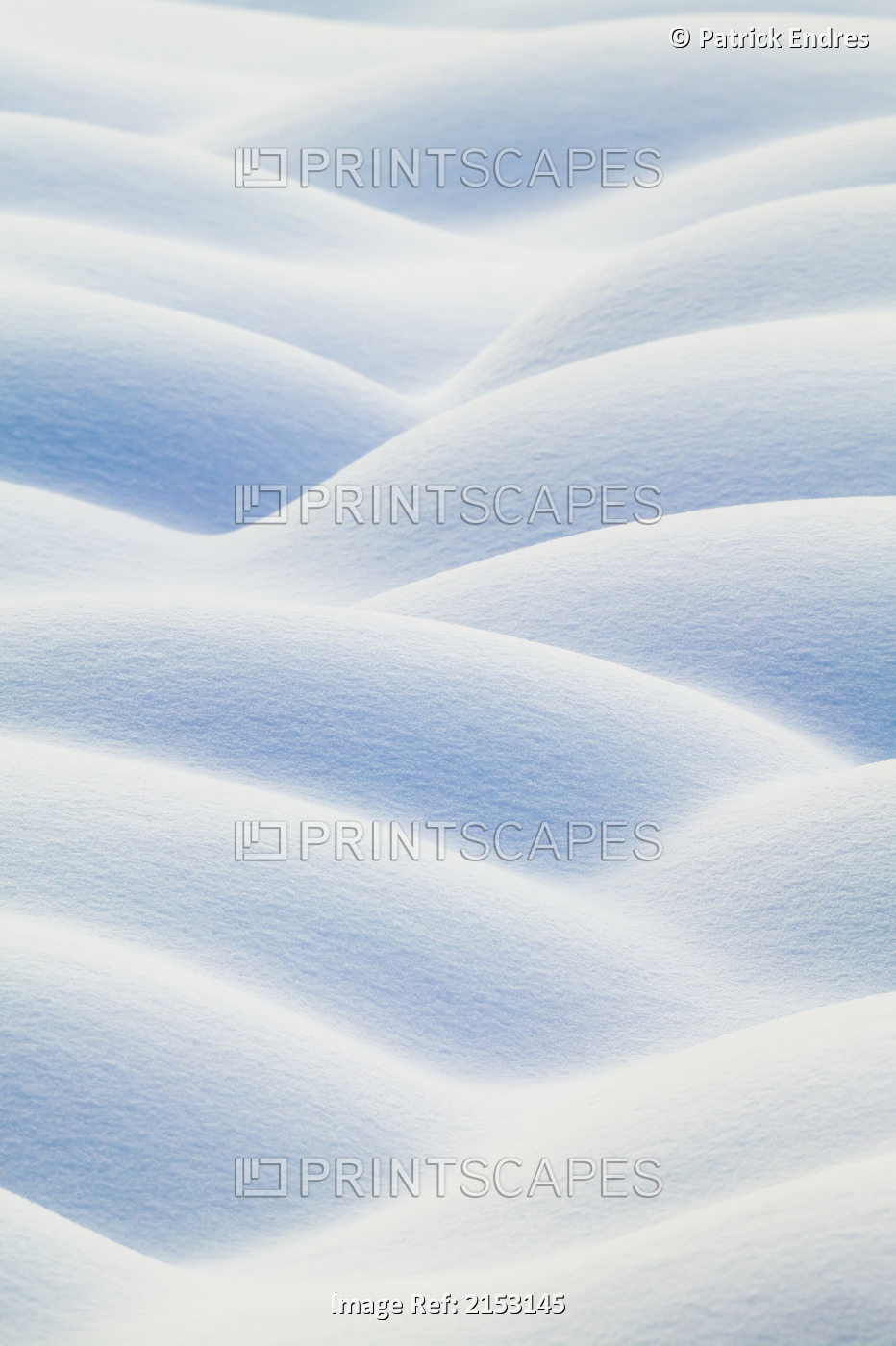 Snow Covered Tussocks On Tundra Create Pattern Ak Ar Winter