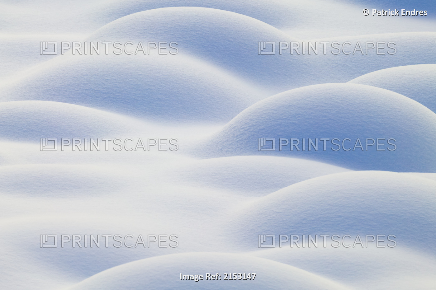 Snow Covered Tussocks On Tundra Create Pattern Ak Ar Winter