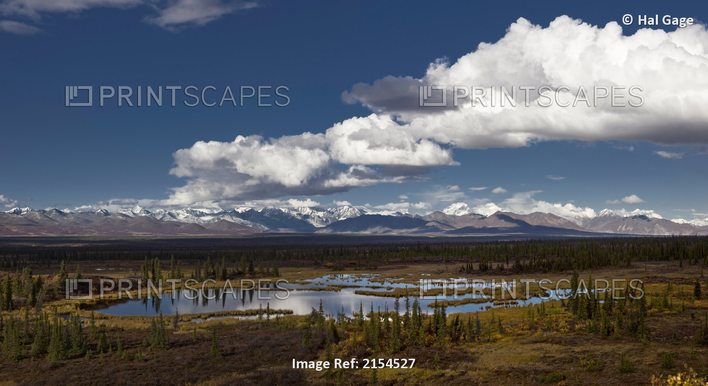 Scenic View Of A Kettle Pond With The Alaska Range In The Background, Interior ...