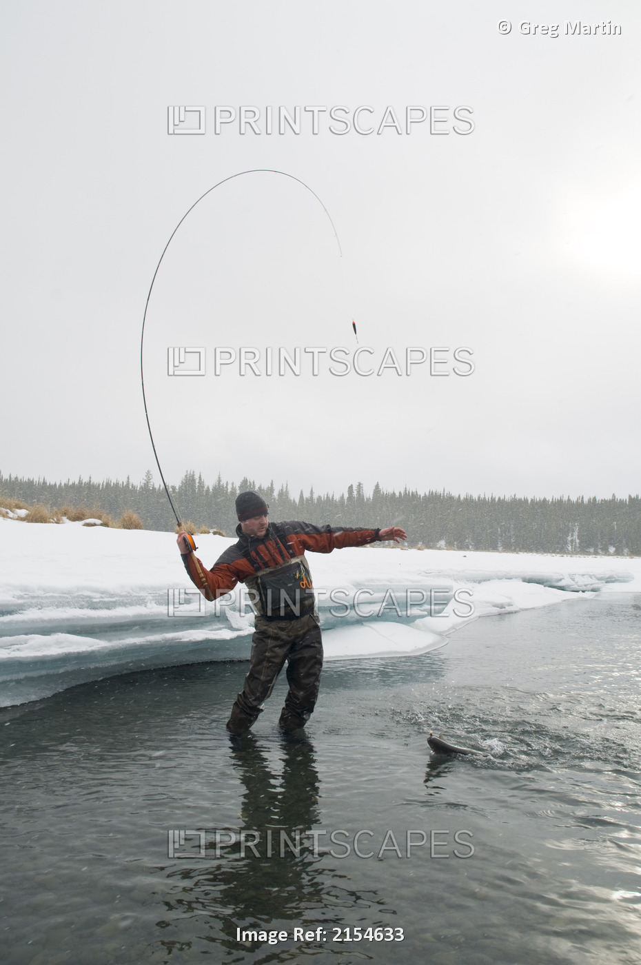 Fly Fisherman Lands A Rainbow Trout On A Snowy Winter Day On The Kenai River In ...