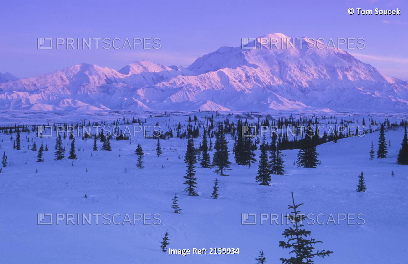 Mount Mckinley Sunset Denali National Park Interior Ak Winter Landscape