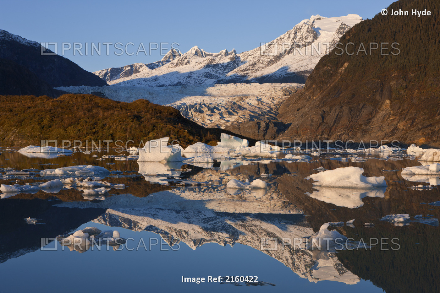 Icebergs Float On The Surface Of Mendenhall Lake Near Juneau, Tongass National ...