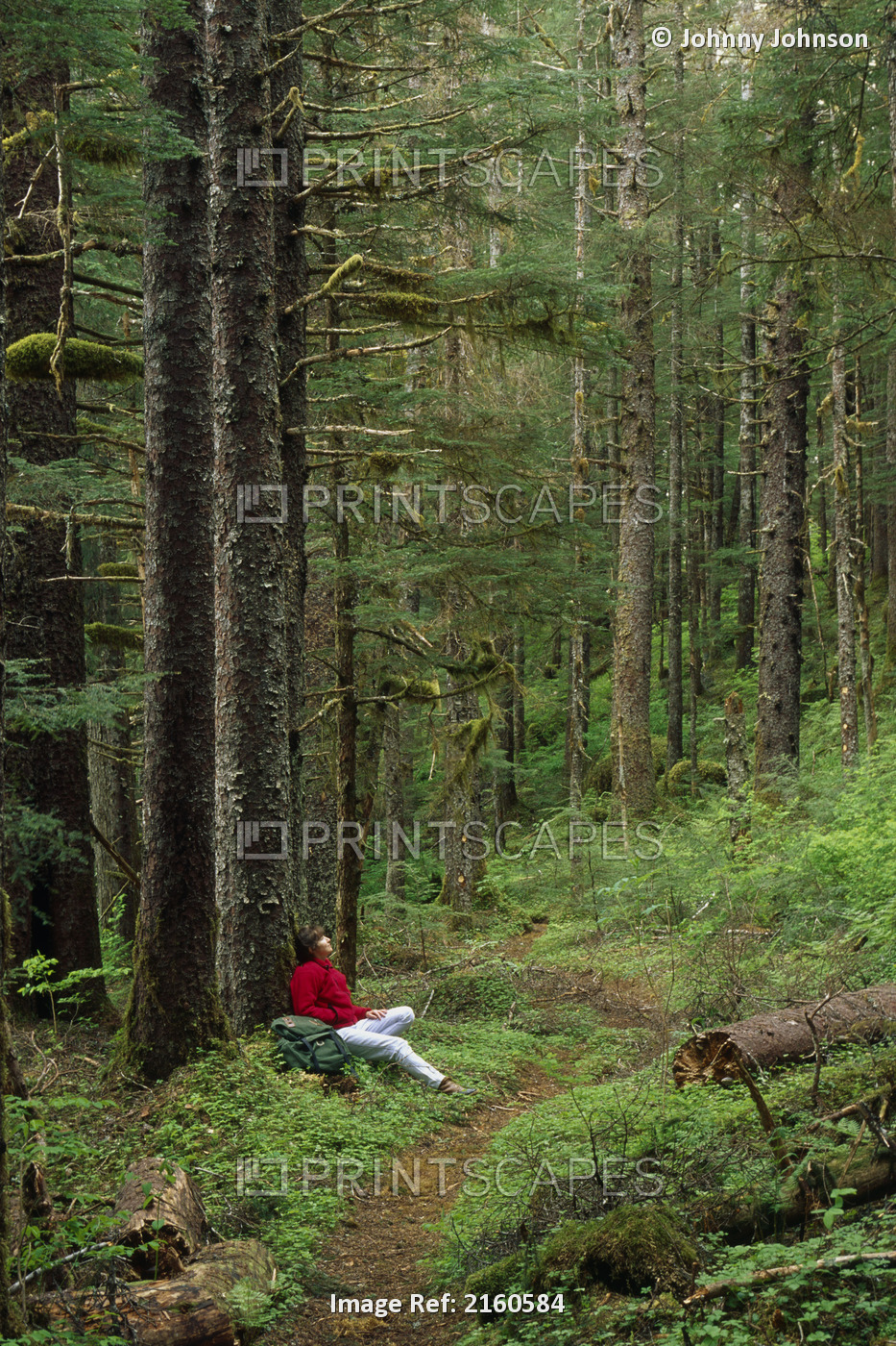 Person Rests Along Bartlett River Trail In Forest Se Ak Glacier Bay Np Summer