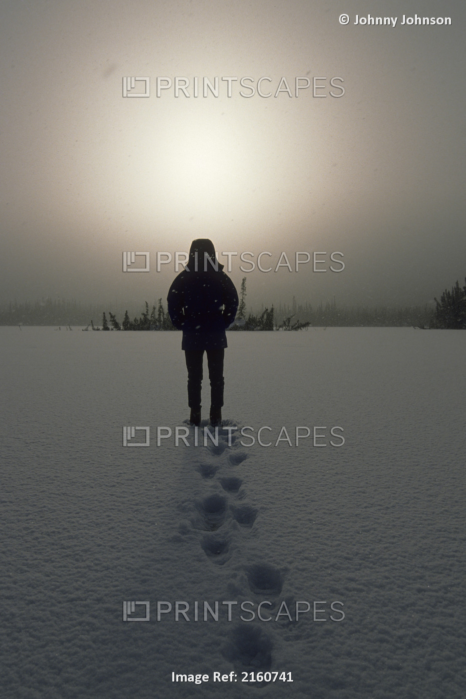 Person Walking On Frozen Lake In Winter Storm Alaska