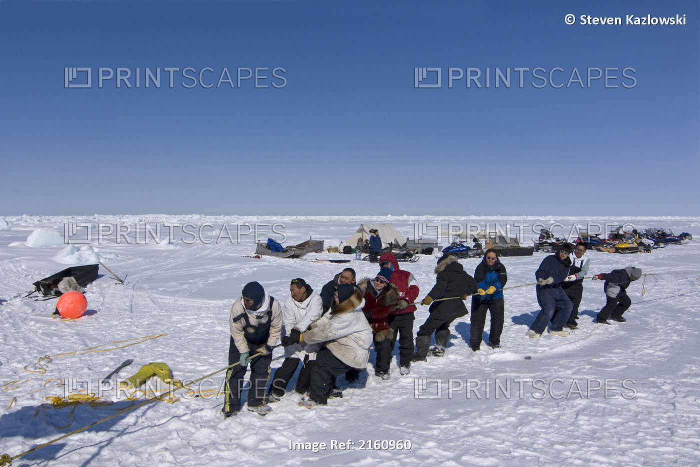 Inupiaq Villagers Help A Whaling Crew Haul Up A 48 Foot Bowhead Whale Caught In ...