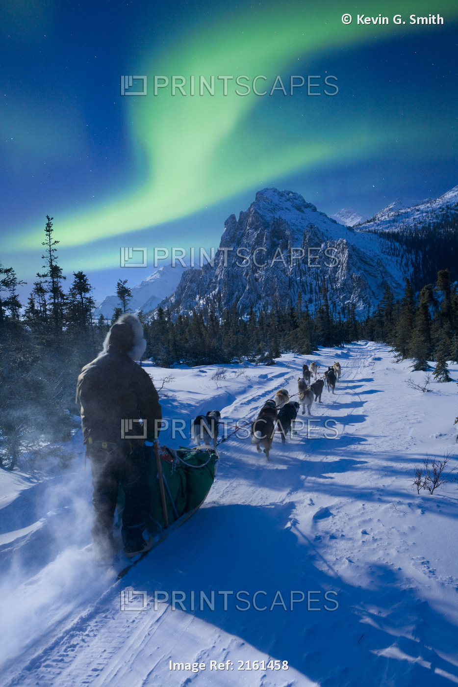 Musher And Dog Team Traveling Beneath The Aurora In The White Mountains ...