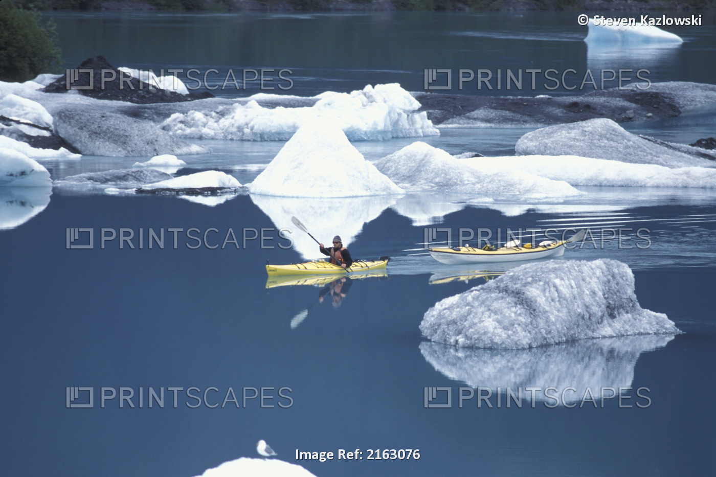 Man Kayaking In Lake @ Bear Glacier Kenai Fjords Np Ak Kp Summer