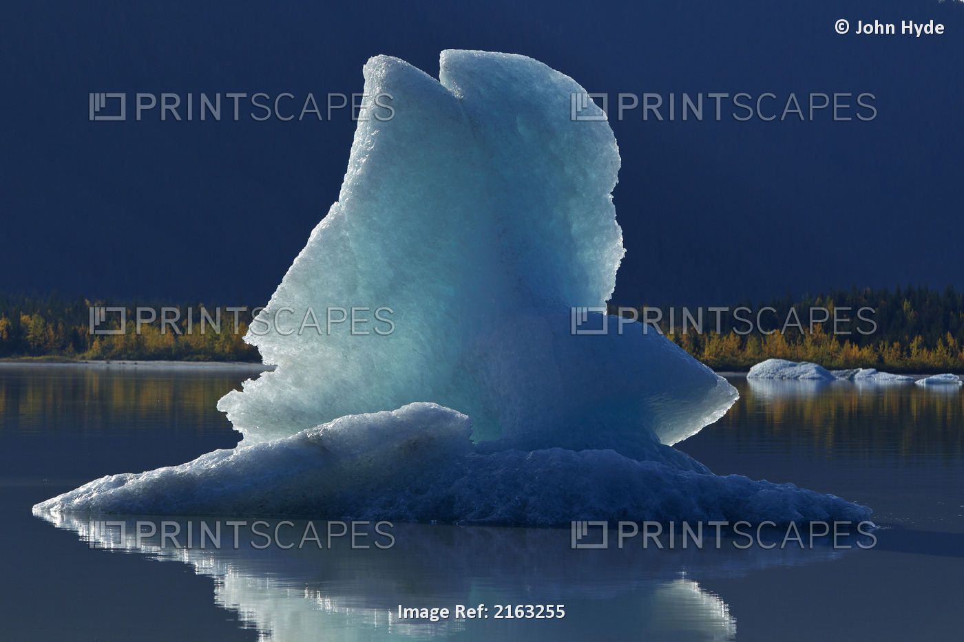 Icebergs Float On The Calm Surface Of Mendenhall Lake, Mendenhall Glacier, ...