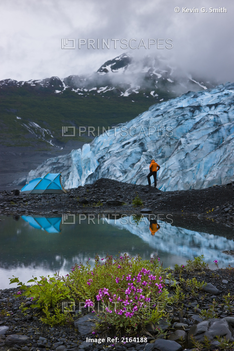 Male Hiker Views Shoup Glacier Standing Next To His Lit Tent, Shoup Bay State ...