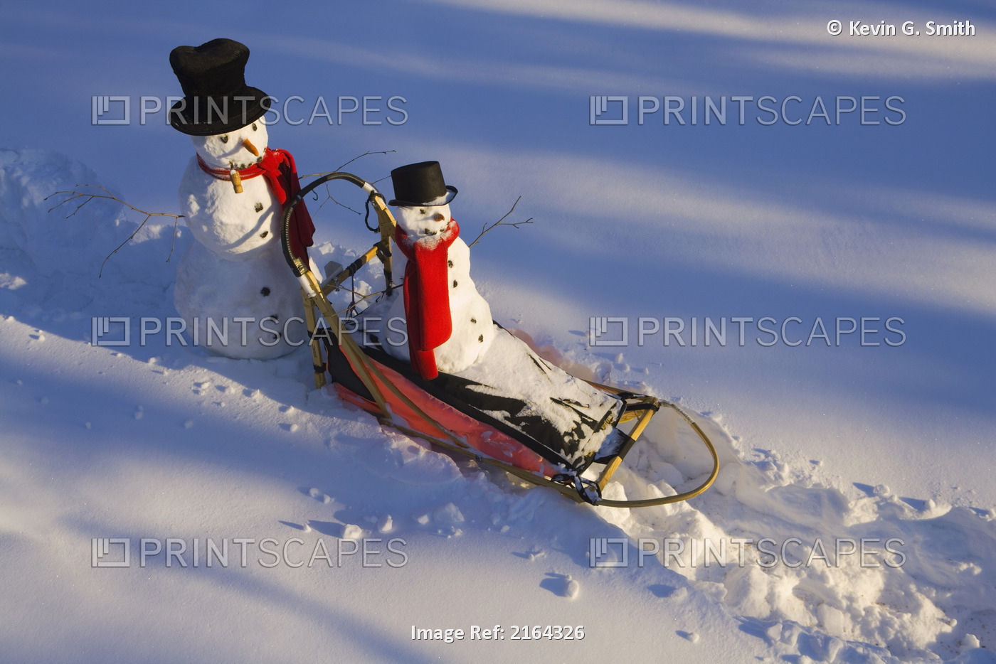 Large & Small Snowman Ride On Dog Sled In Deep Snow In Afternoon Interior ...