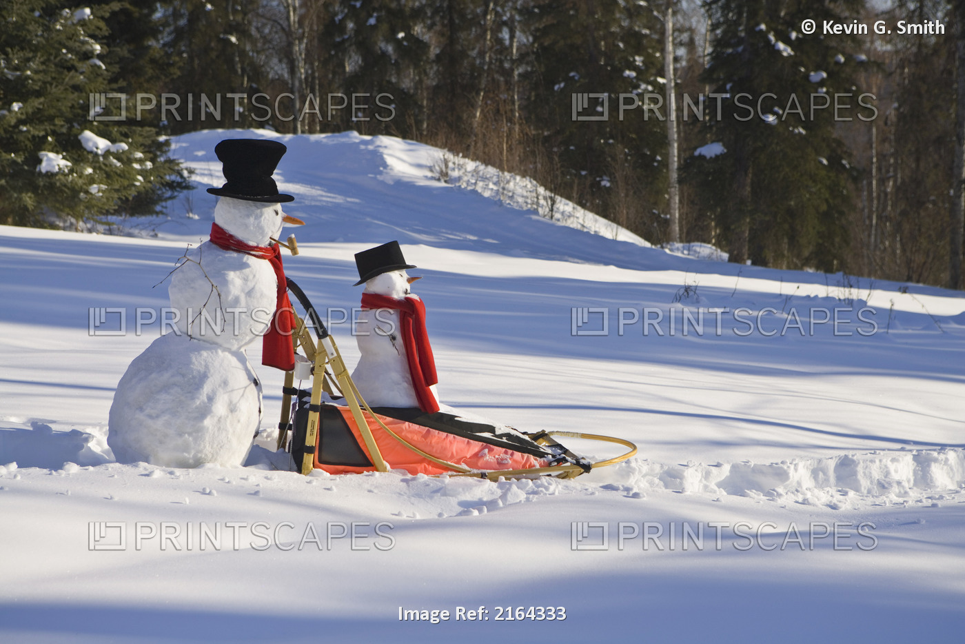 Large Pushes Small Snowman On Dog Sled In Deep Snow In Afternoon Fairbanks ...