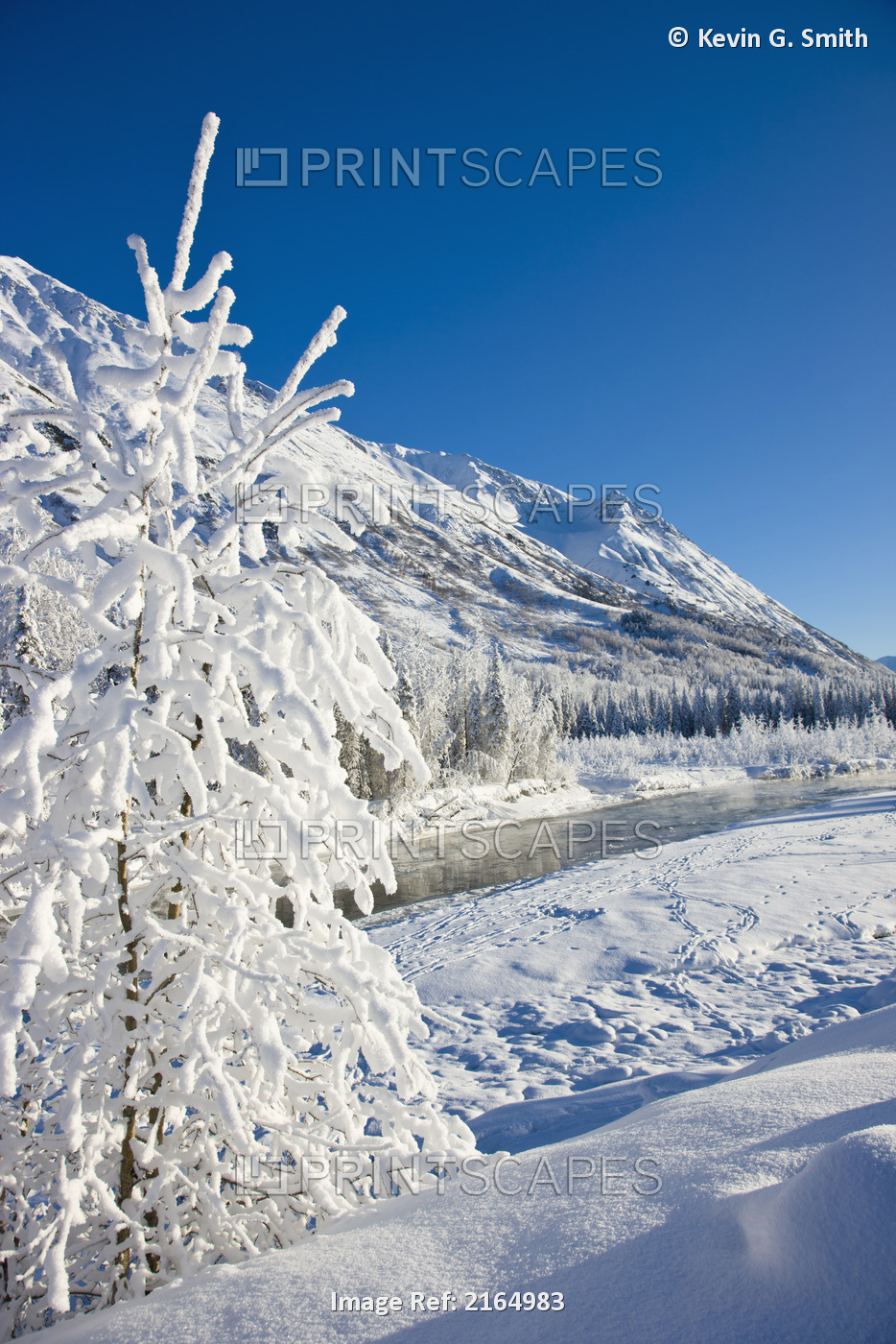 Snow Covered Landscape Along The East Fork Of The Six Mile Creek On The Kenai ...