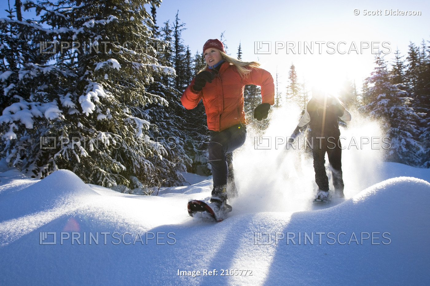Three Young Women On Snowshoes Enjoy The Outdoors Near Homer, Alaska During ...