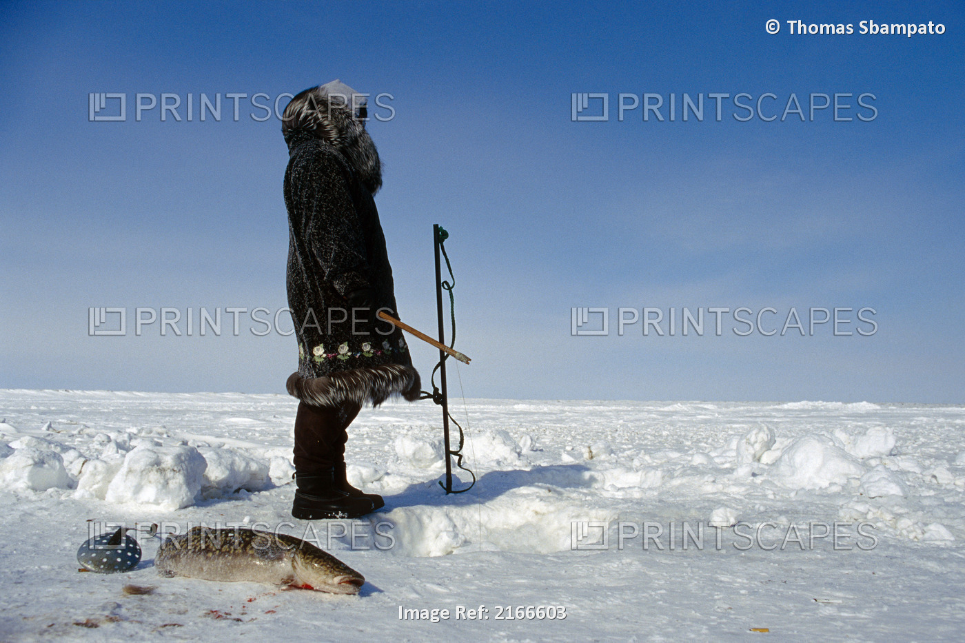 Native Woman Ice Fishing Colville River Ar Ak Autumn/Nnear Nuiqsut