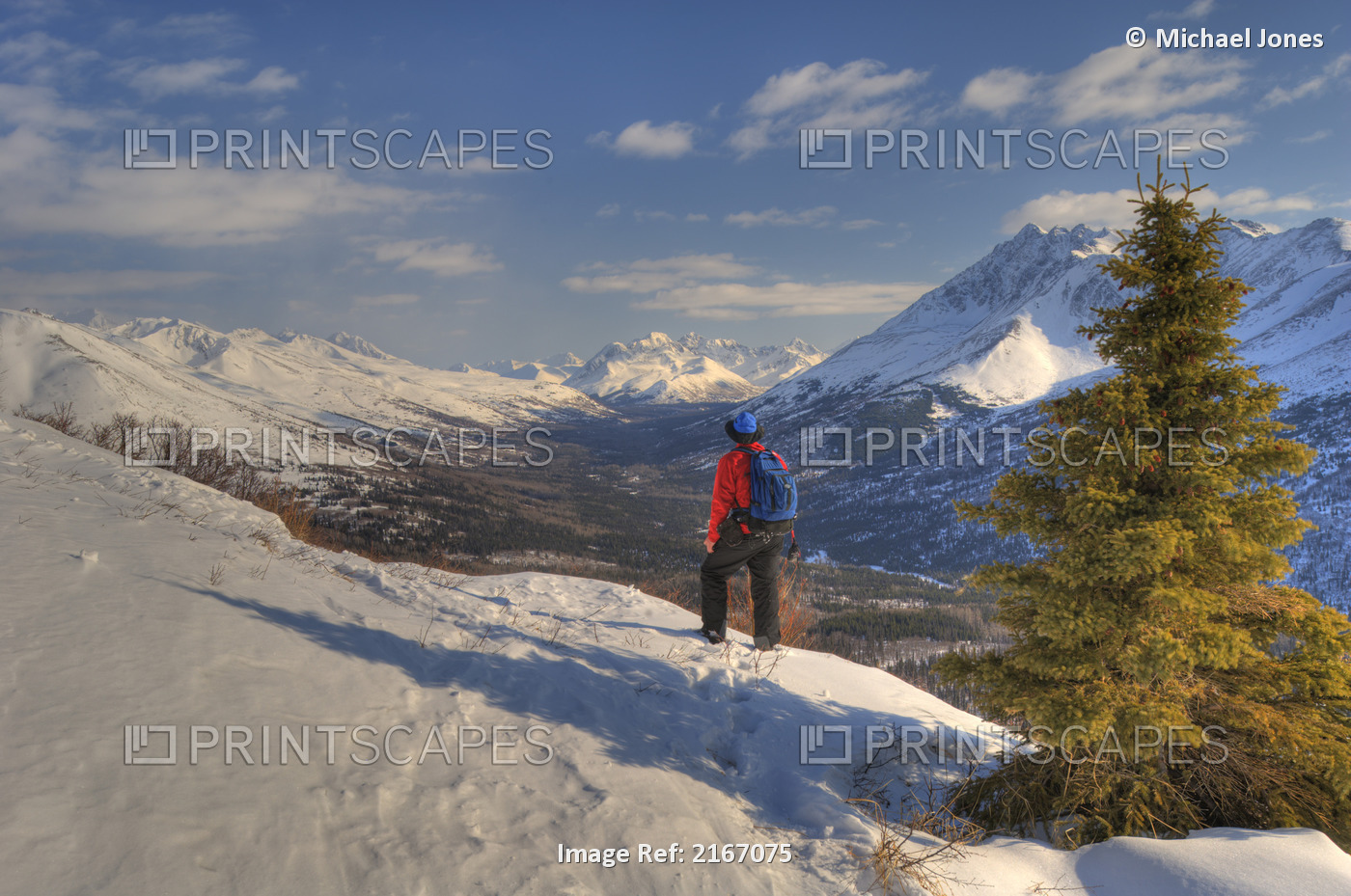 Man Snowshoeing Above Arctic Valley With Chugach Mountains In The Background, ...