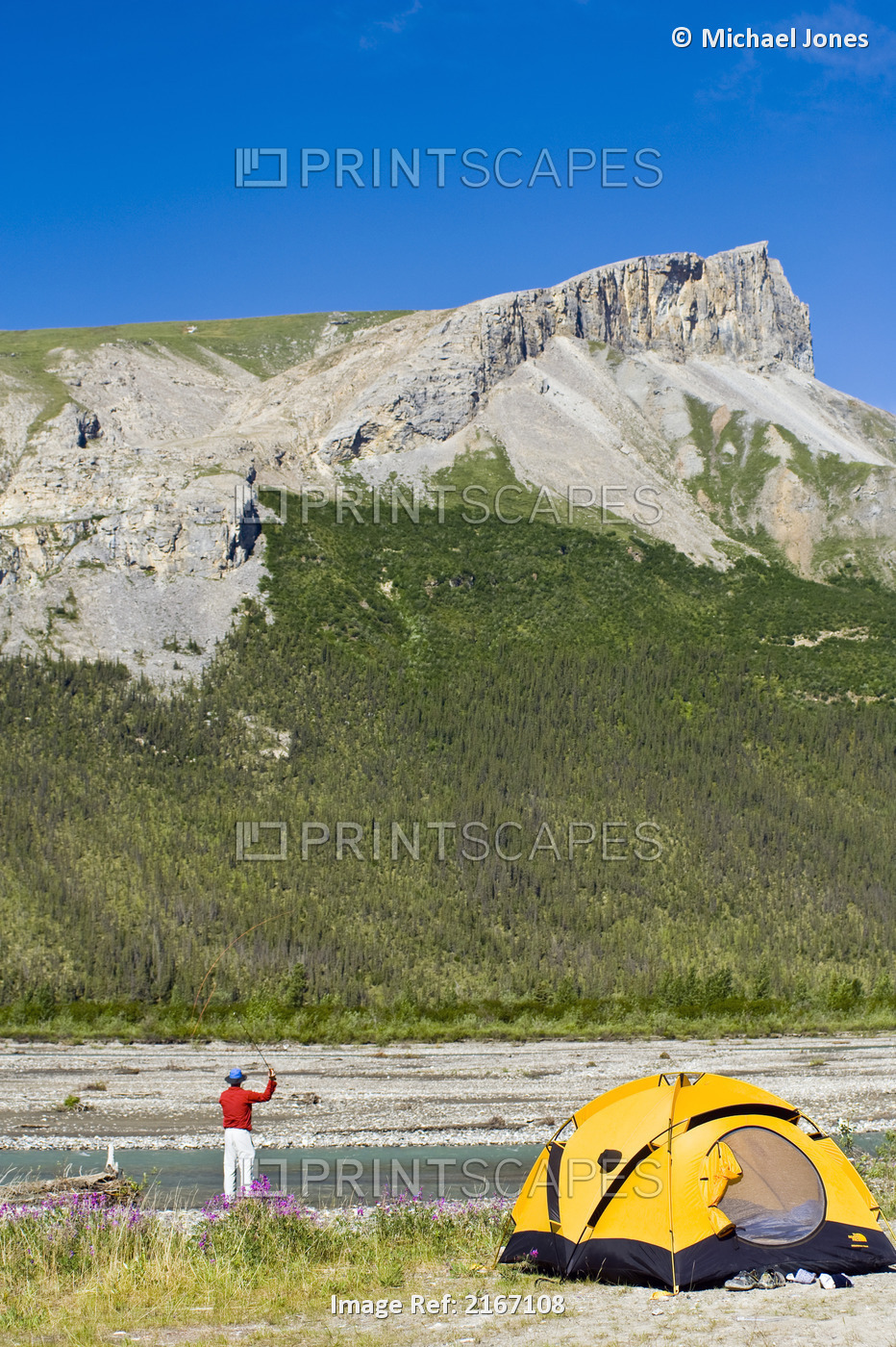 Man Fly Fishing On The Dietrich River In The Brooks Range Near His Tent And ...