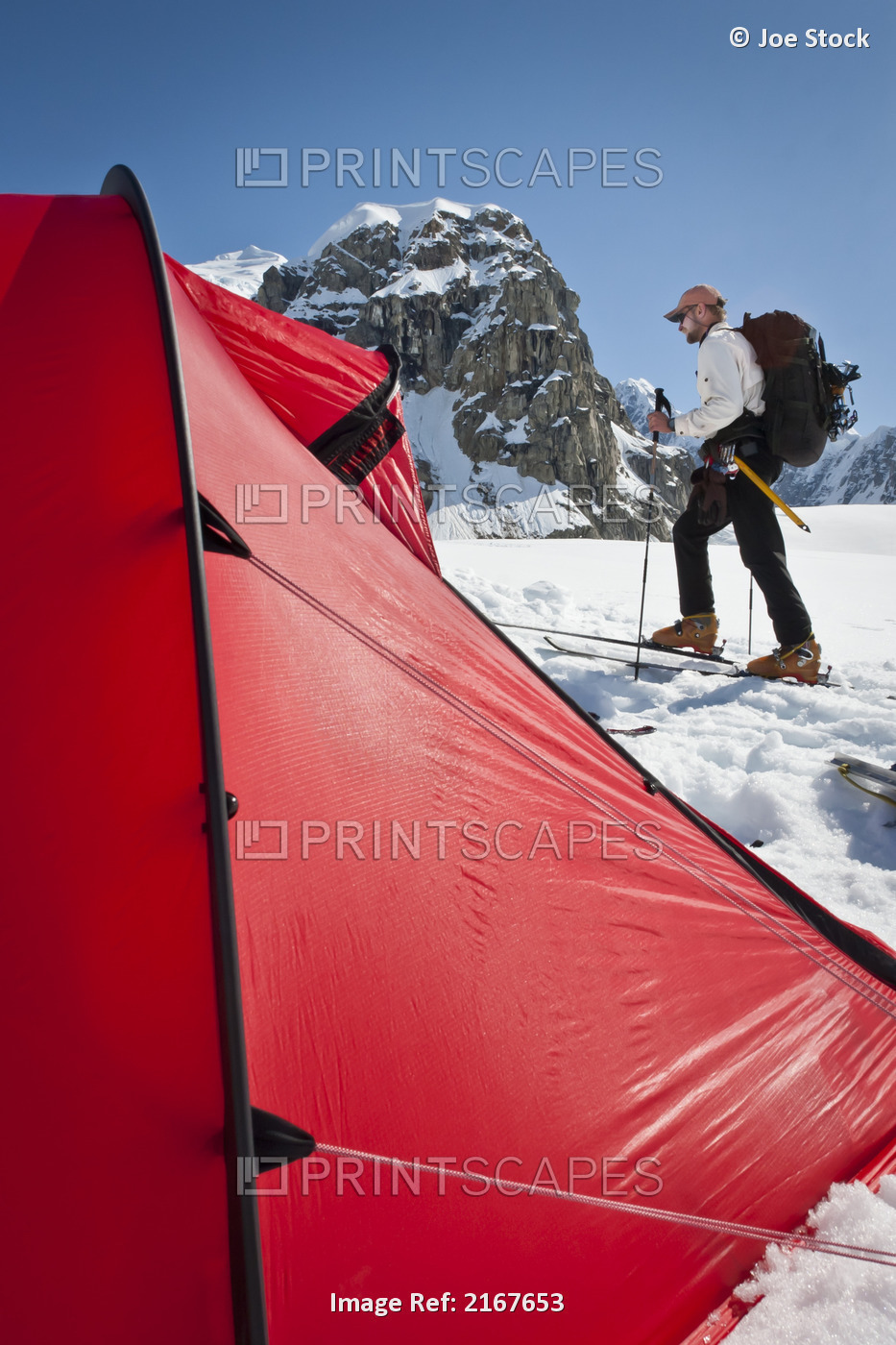 Man Skiing By A Red Tent On The Kahiltna Glacier In The Alaska Range, Interior ...