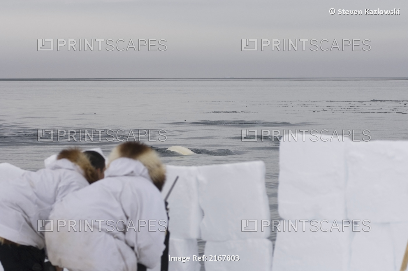 Inupiaq Whalers Hide Behind Pack Ice Wall At The Edge Of The Chukchi Sea As ...