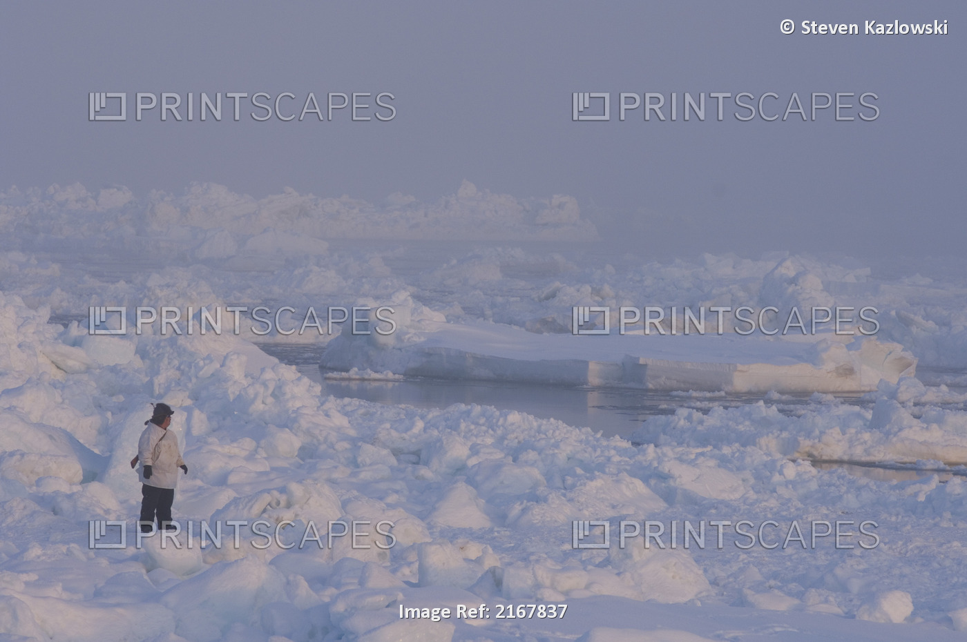 An Inupiaq Whaler Observes Potentially Dangerous Ice Conditions At An Open Lead ...