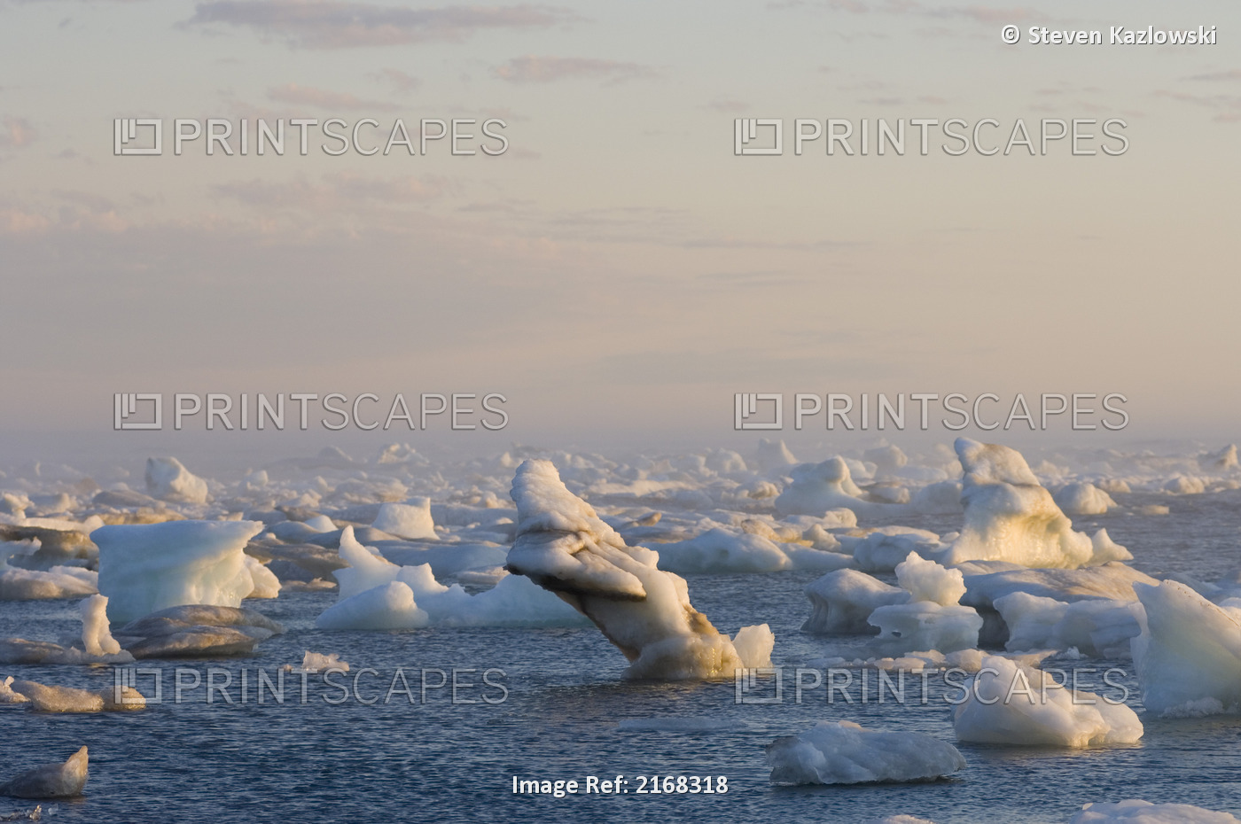 Summer Seascape Of Melting Ice In The Beaufort Sea Off The Arctic National ...