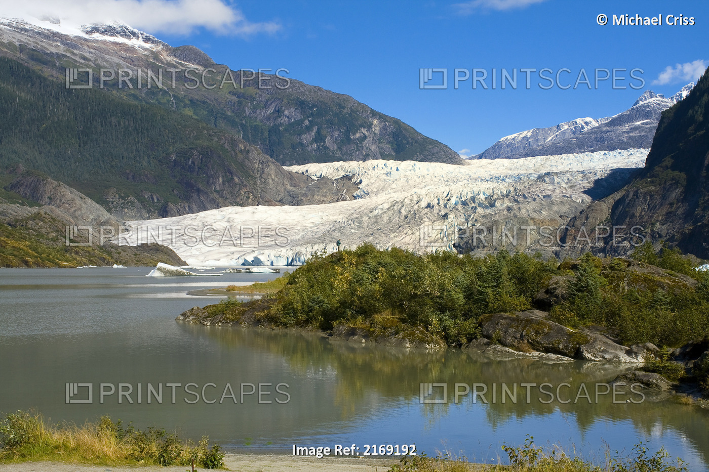 View Of Mendenhall Glacier, Near Juneau, Southeast Alaska, Summer