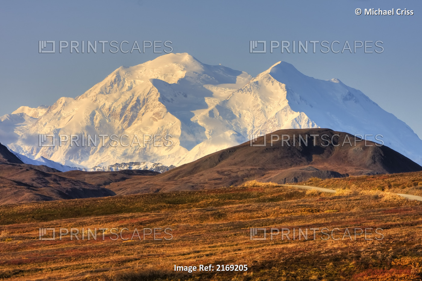 Scenic View Of Mt. Mckinley And Colorful Tundra During Autumn In Denali ...