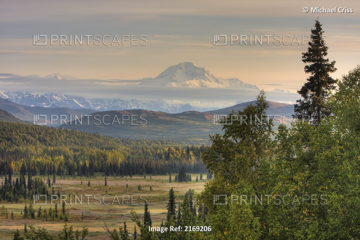 Scenic View Of Mt. Mckinley Just South Of Denali National Park,Southcentral ...