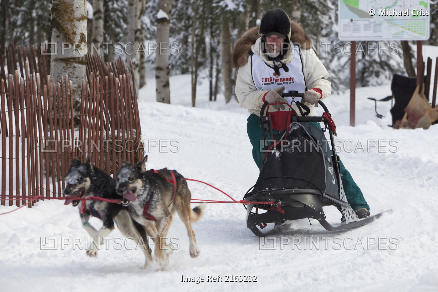Bill Kornmuller And Team Mushing During The 2010 Fur Rondy Sled Dog ...