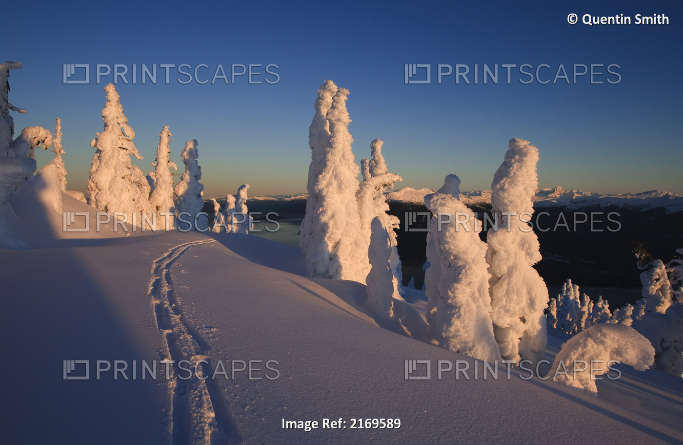 Scenic Sunrise In Winter With Ski Tracks In The Foreground, Wrangell Island, ...