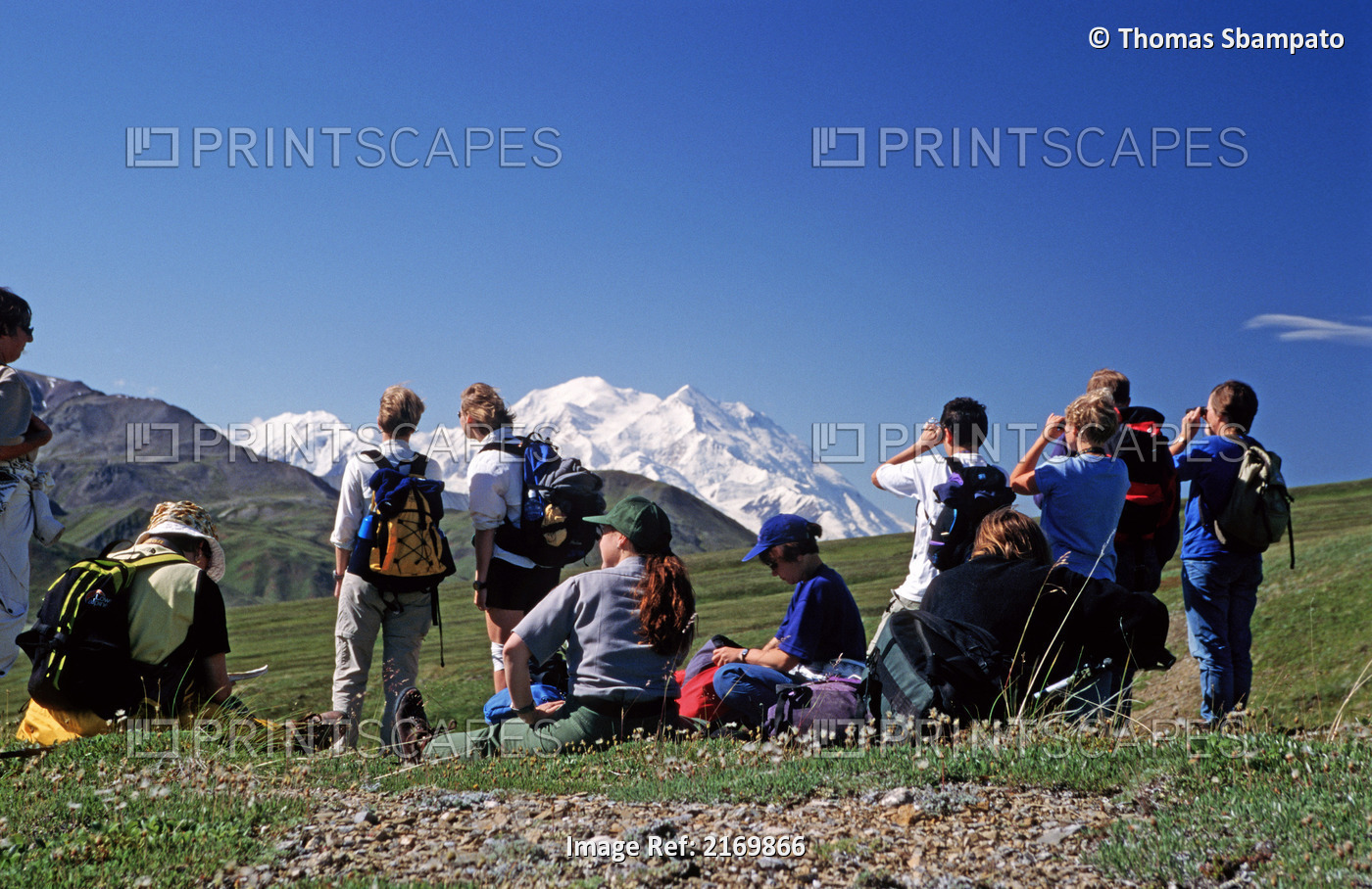 Hikers On Trail Taking Break To View Mt Mckinley Denali National Park Interior ...