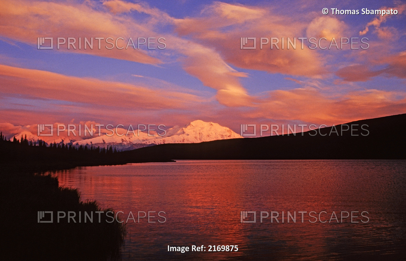 Mt.Mckinley And Wonder Lake At Sunset Denali National Park Alaska Summer