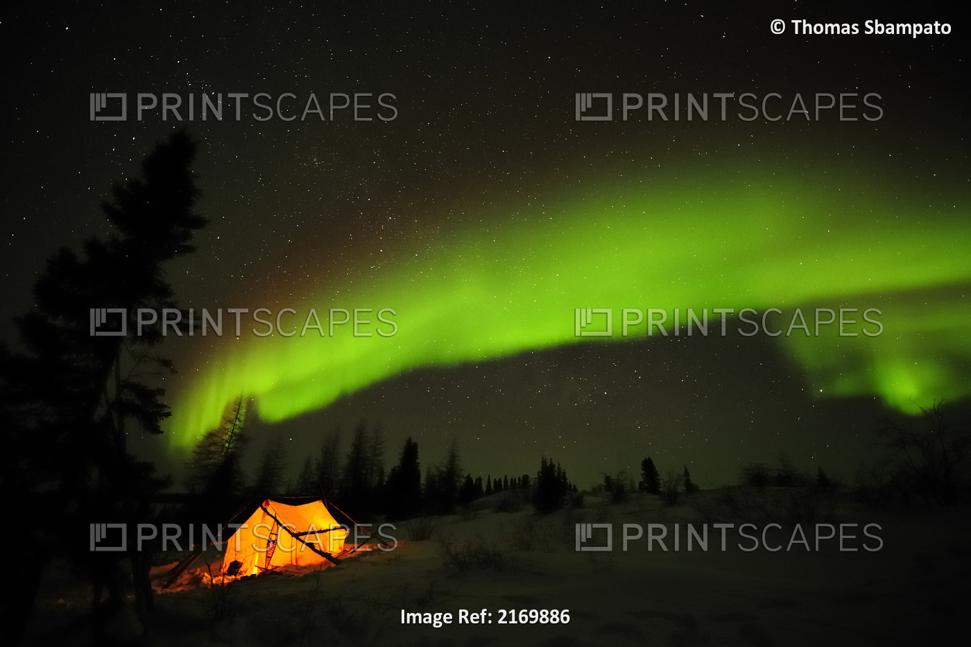 Aurora Borealis Or Northern Lights Shines Across The Dark Sky Above An ...