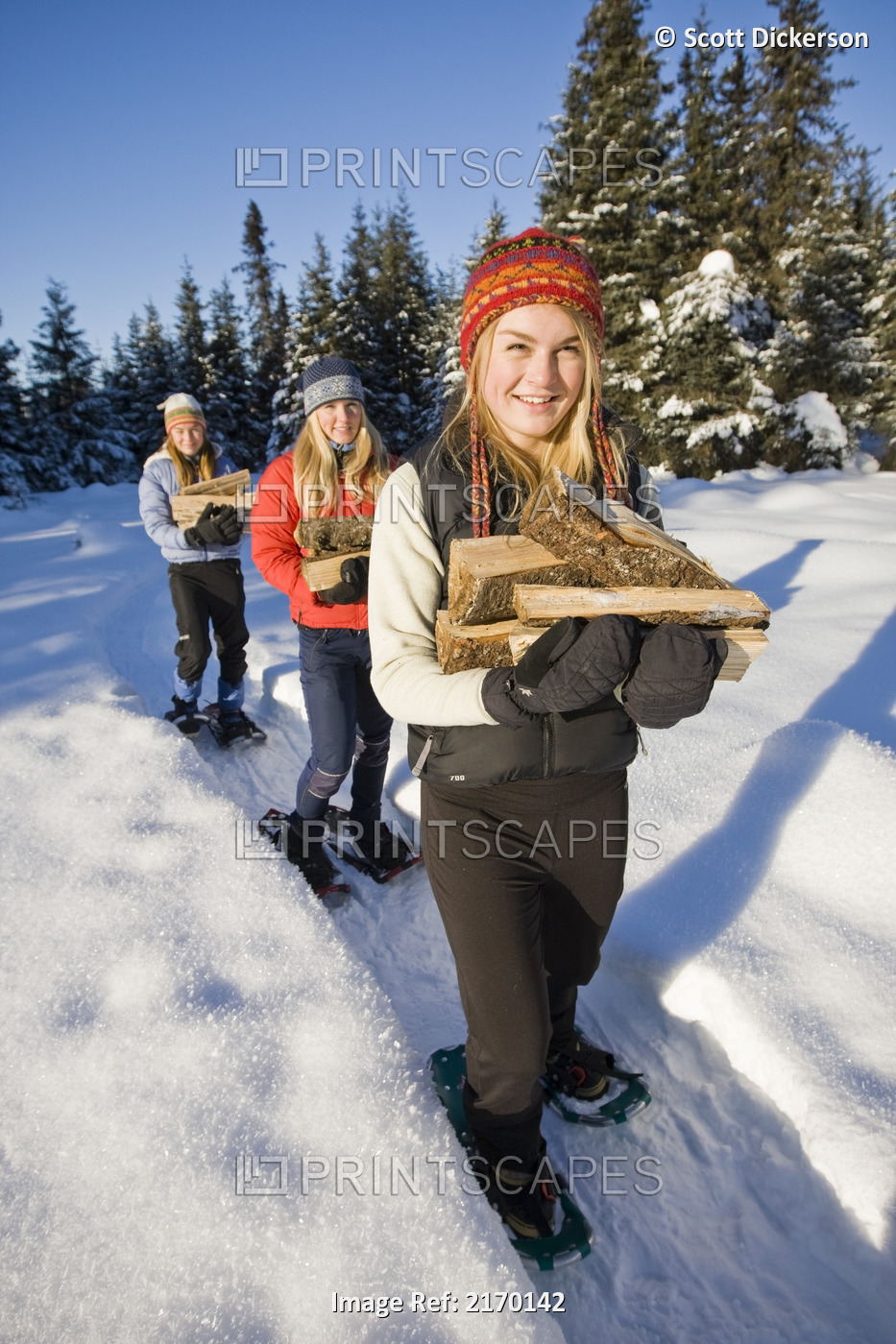 Three Young Women On Snowshoes Hauling Chopped Wood Near Homer, Alaska During ...