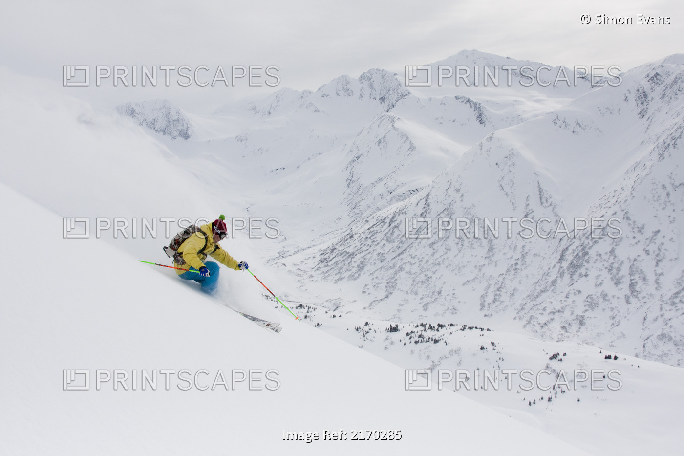 Downhill Skier In Fresh Powder In Chugach Mountains Of Turnagain Pass, ...