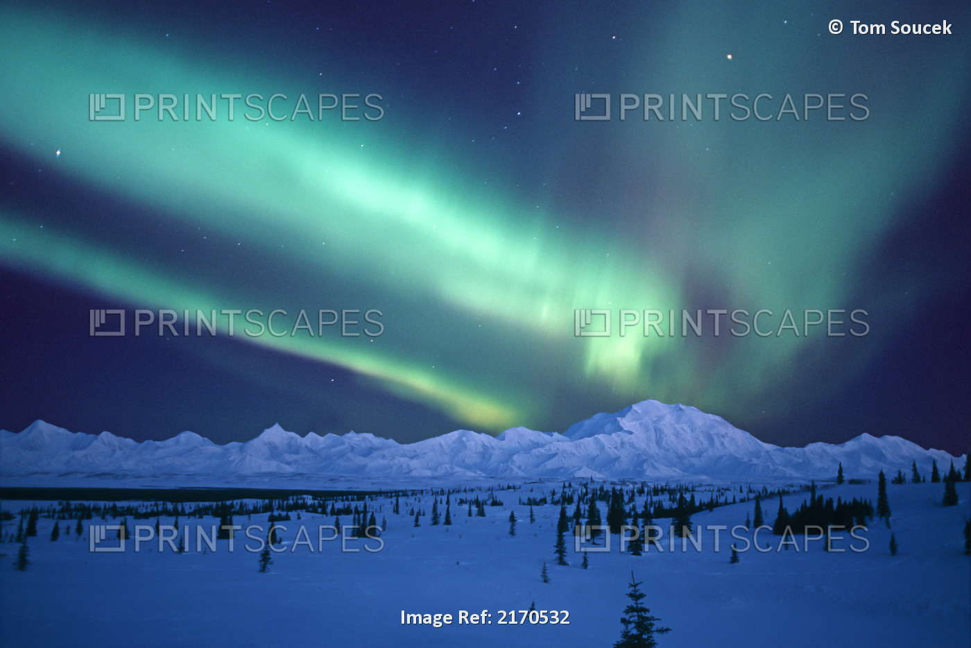 Aurora Borealis over Denali in winter, composite; Alaska, United States of ...