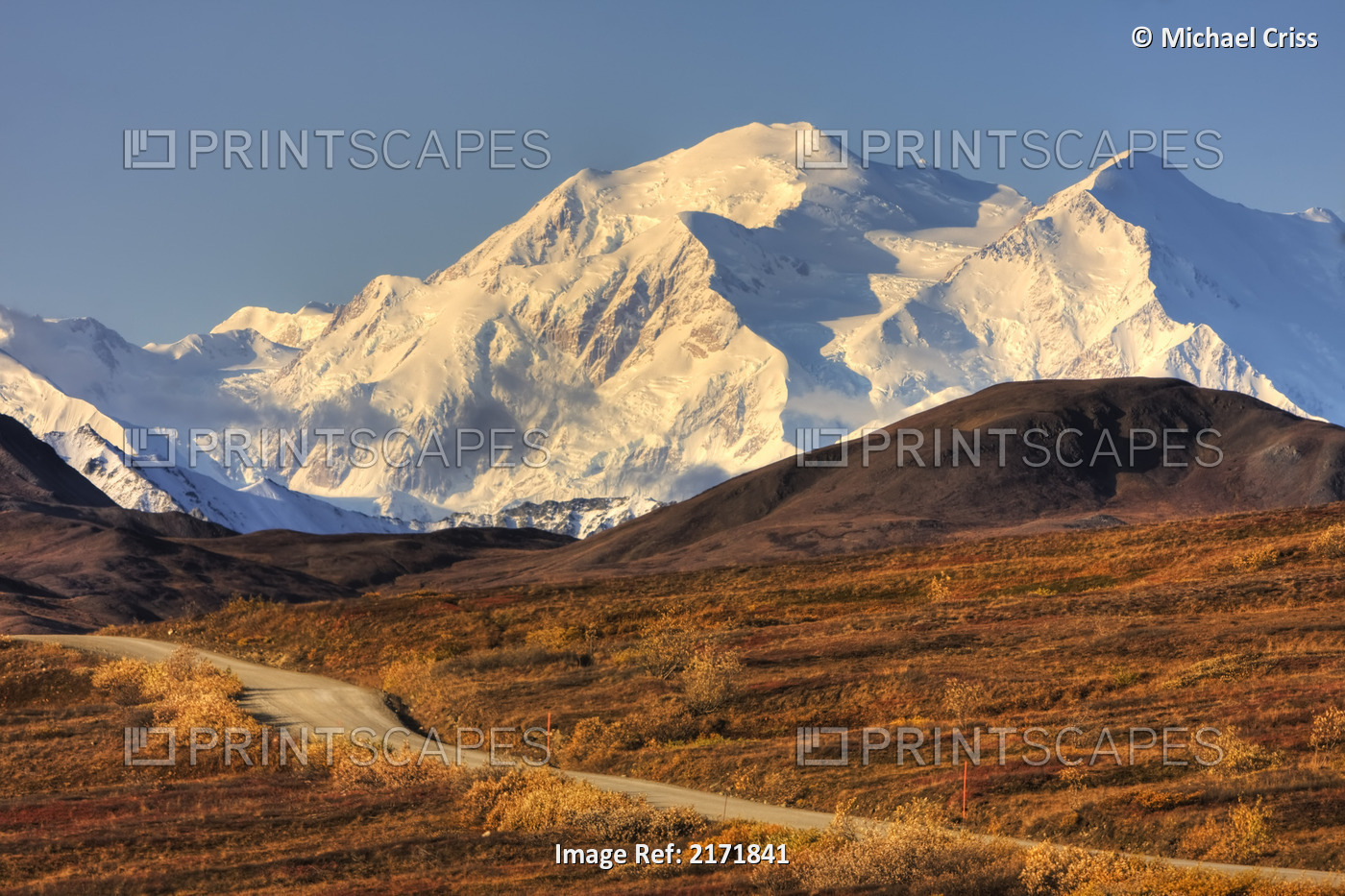Scenic View Of Mt. Mckinley And Colorful Tundra During Autumn In Denali ...