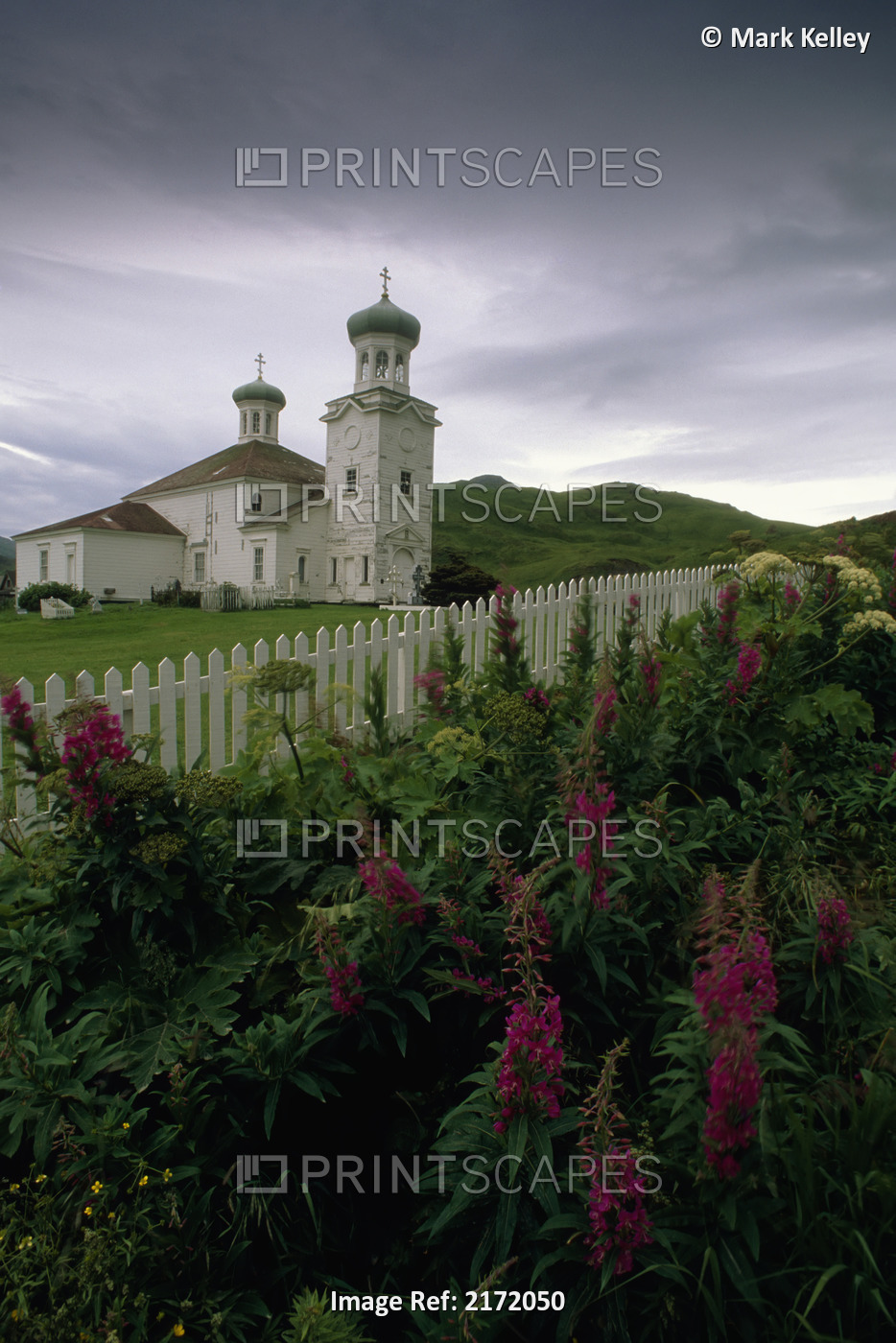 Cathedral Of Holy Ascension Atop Hill W/Wildflowers Unalaska Island Southwest ...