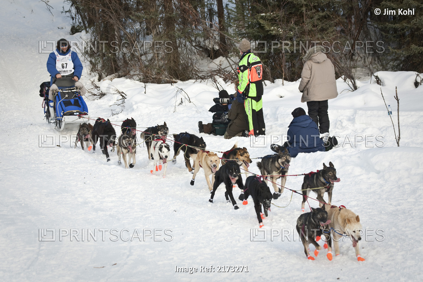 John Baker On Willow Lake At The Restart Of The 2008 Iditarod Sled Dog Race, ...