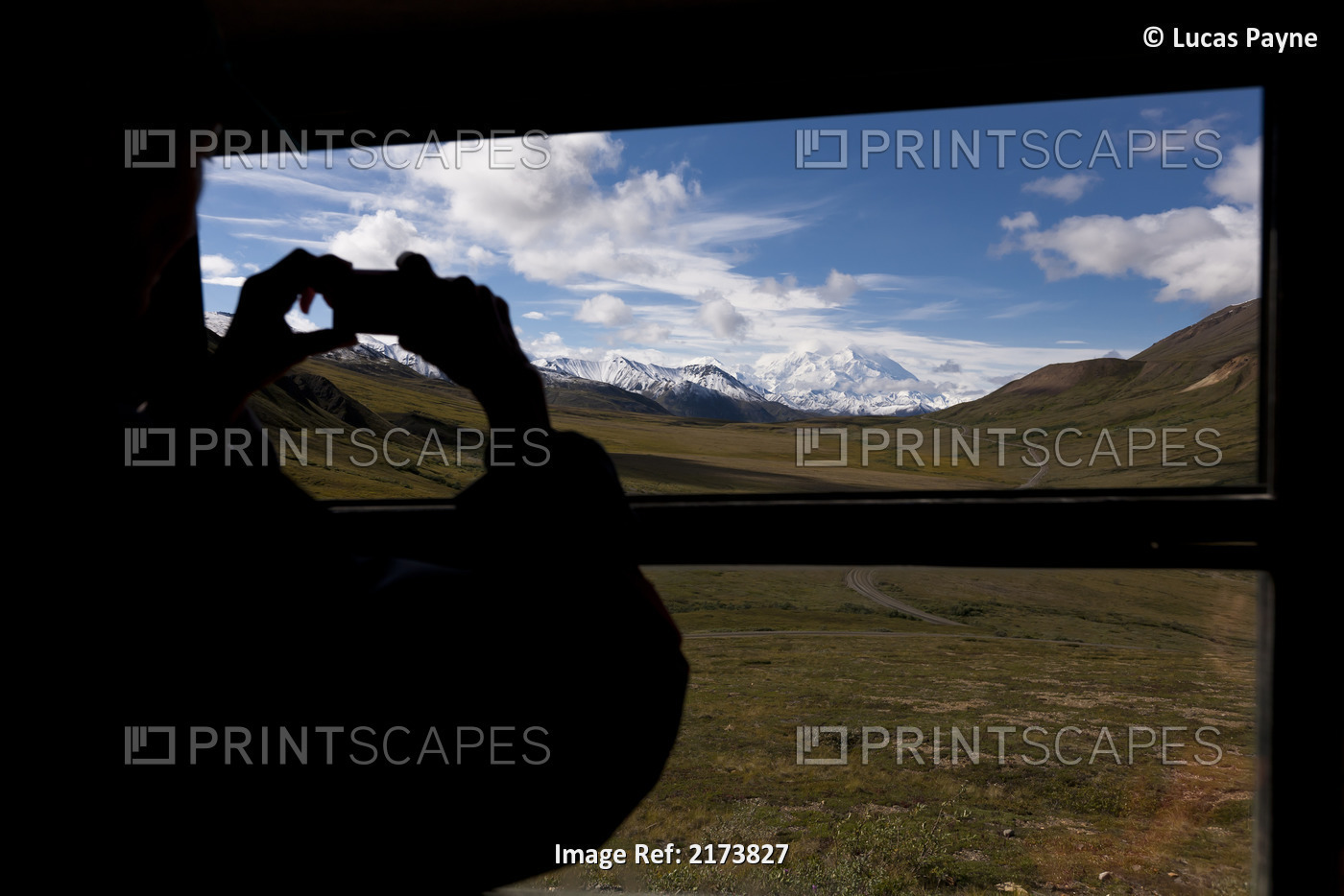Silhouette Of A Female Tourist Photographing Mt. Mckinley From The Inside Of A ...