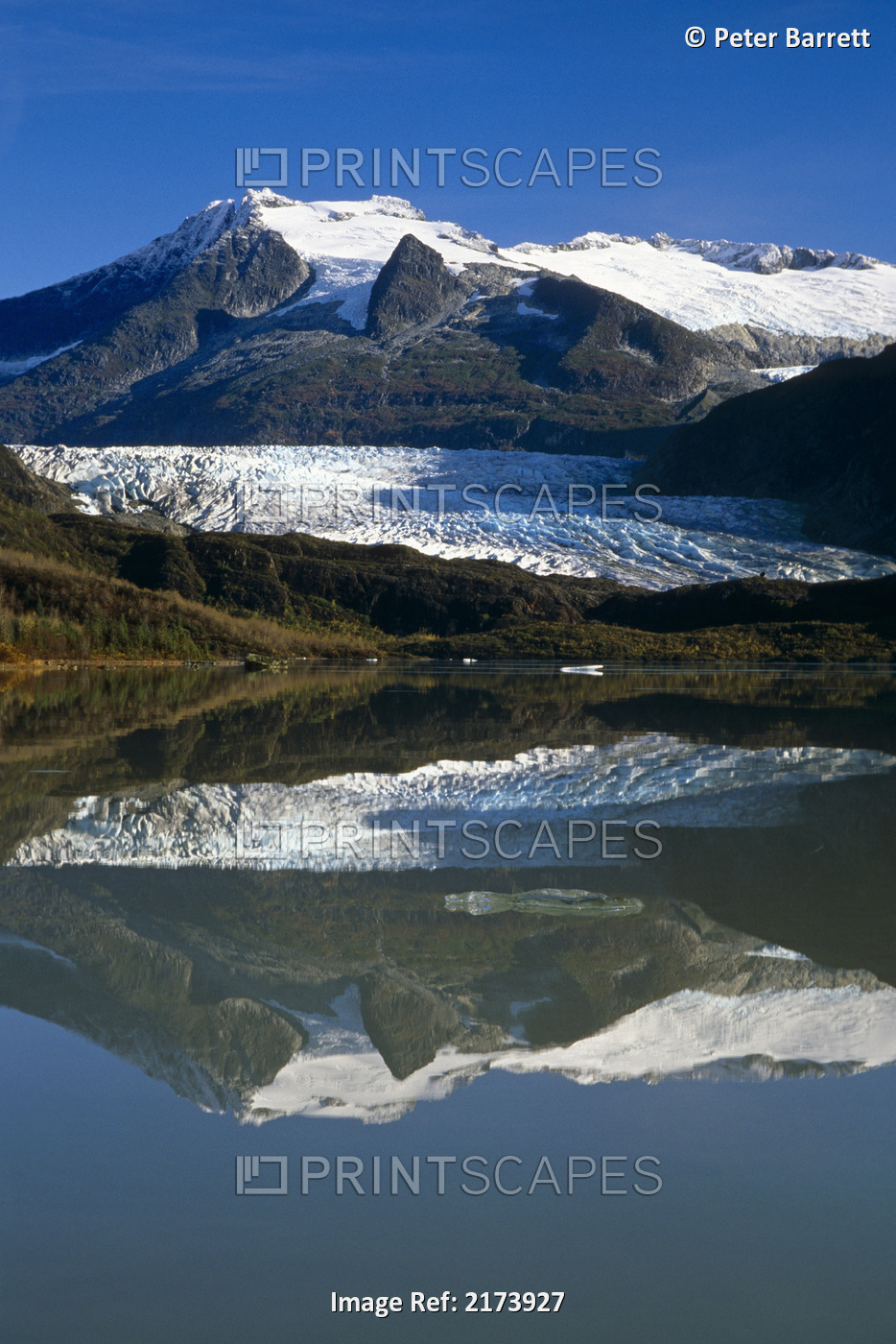 Mendenhall Glacier Reflects In Its Own Lake Near Juneau,Ak, Coast Mtns, Tongass ...